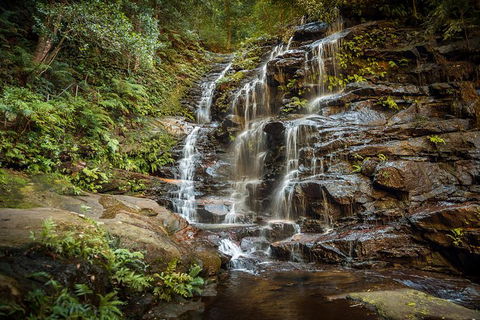 Ultimate Blue Mountains Waterfalls, Walks & Sunset PRIVATE Tour - Getaway Accommodation 10