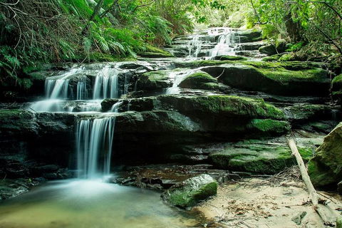 Ultimate Blue Mountains Waterfalls, Walks & Sunset PRIVATE Tour - Getaway Accommodation 2