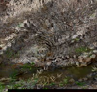 Brisbane Ranges National Park - Getaway Accommodation