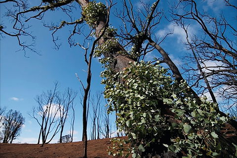 Brisbane Ranges National Park - Getaway Accommodation 1