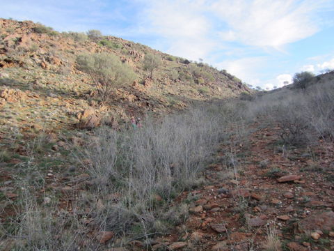 Sundown Nature Trail - Getaway Accommodation 2