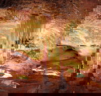 Jenolan Caves Ribbon Cave Tour - Getaway Accommodation