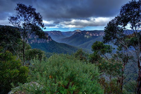 Ultimate Blue Mountains And Wildlife Tour - Getaway Accommodation 6