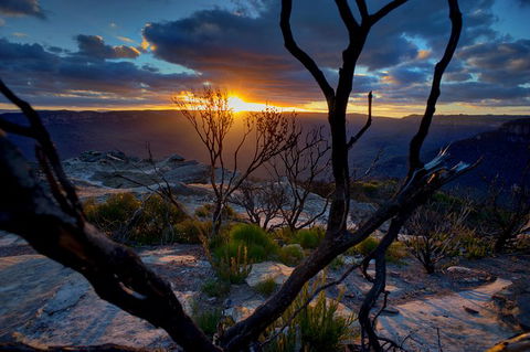Ultimate Blue Mountains And Wildlife Tour - Getaway Accommodation 0