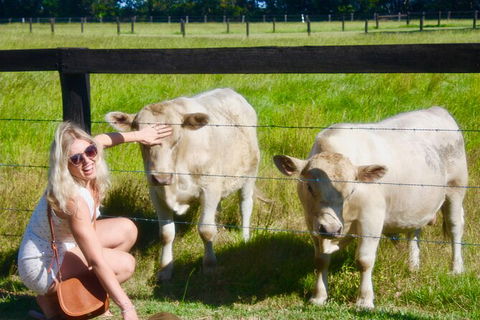 Hipster Sipster Brewery & Distillery Tour - Northern NSW - Getaway Accommodation 8