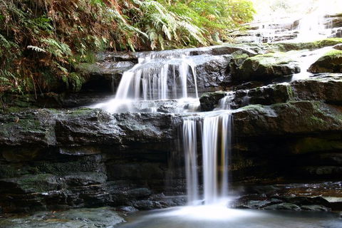 Private 10-hour Tour To Blue Mountains From Sydney - Hotel Pick Up & Drop Off - Getaway Accommodation 6