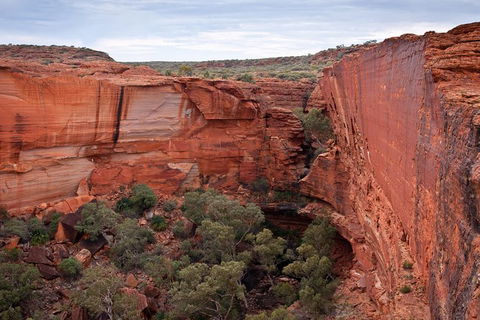 Uluru, Kata Tjuta And Kings Canyon Camping Safari From Alice Springs - Getaway Accommodation 4