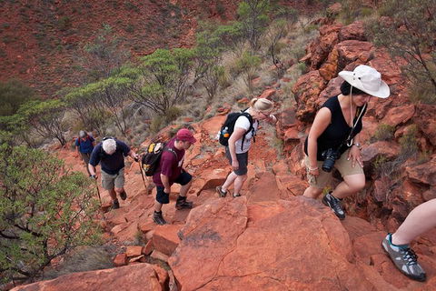 Uluru, Kata Tjuta And Kings Canyon Camping Safari From Alice Springs - Getaway Accommodation 3