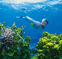 Full Day Snorkel In The Great Barrier Reef - Getaway Accommodation