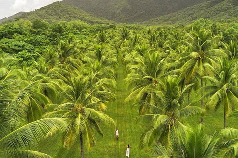 SHUTTLE - Thala Beach And Turtle Cove From Port Douglas (Return Transfer) - Getaway Accommodation 1