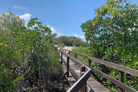 Hinchinbrook Island Tour - Getaway Accommodation 4