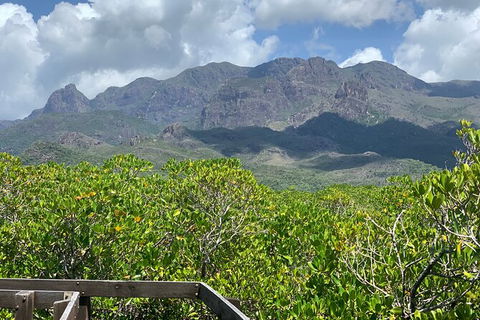 Hinchinbrook Island Tour - Getaway Accommodation 0