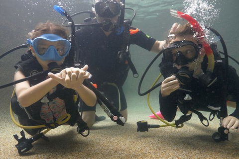 Scuba Kids- Padi Bubblemaker Course - Getaway Accommodation 4