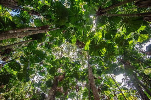 5 Day Australia Retreat: Queensland Daintree - Getaway Accommodation 4