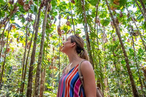 5 Day Australia Retreat: Queensland Daintree - Getaway Accommodation 3