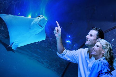 Cairns Aquarium Tour By Twilight With Drink And Appetiser - Getaway Accommodation 0