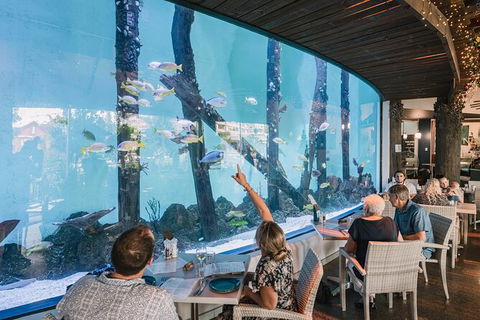 Cairns Aquarium Tour By Twilight With Drink And Appetiser - Getaway Accommodation 1