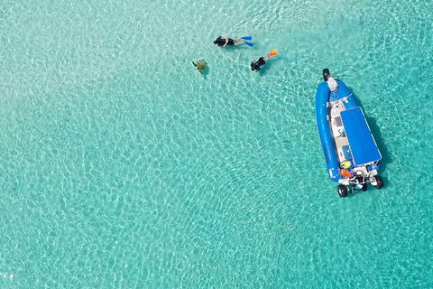 Remote Fraser Island & Whale Experience - Getaway Accommodation 0