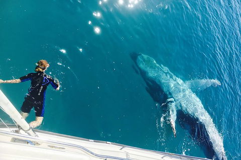 Remote Fraser Island & Whale Experience - Getaway Accommodation 4