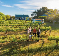 Barossa Valley Highlights from Barossa Valley Including Wine and Cheese Tasting - Getaway Accommodation