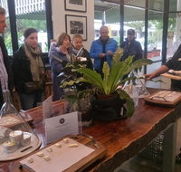 Half-Day Tour with a unique Barossan experience - Getaway Accommodation