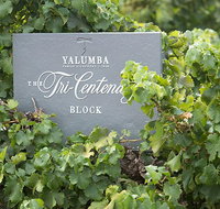 Yalumba Nursery  Grenache Discovery Tour  Platter Lunch - Getaway Accommodation
