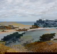 Shore Excursion Coast Caves and Wildlife Park - 8 hour tour - Getaway Accommodation
