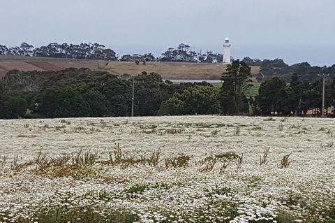 Cruise Ship Excursion: NW Tassie Coastal Explorer - Getaway Accommodation 14