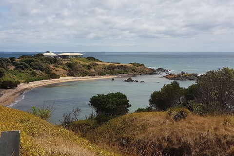 Cruise Ship Excursion: NW Tassie Coastal Explorer - Getaway Accommodation 13
