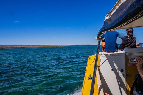 Ningaloo Immersion Private Charter - Getaway Accommodation 0