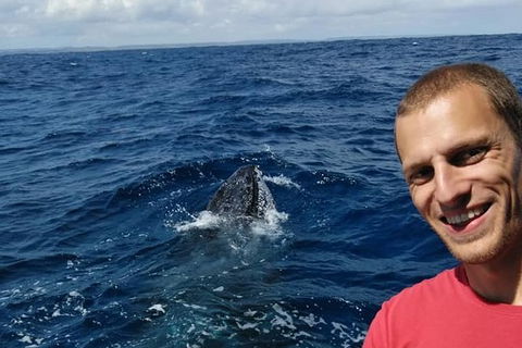 Whale Watching Boat Tour In Geraldton - Getaway Accommodation 2