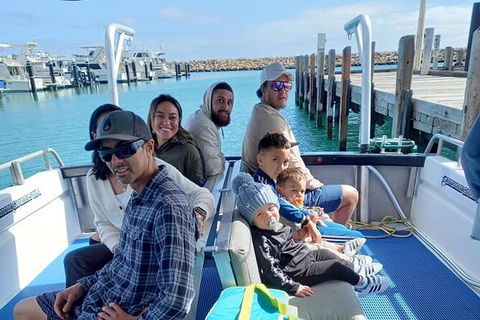 Whale Watching Boat Tour In Geraldton - Getaway Accommodation 1