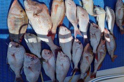 Geraldton Fishing Charter - Getaway Accommodation 7