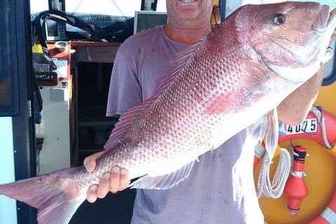 Geraldton Fishing Charter - Getaway Accommodation 10