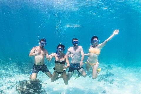 Full-Day Whale Sharks Swimming Experience On Ningaloo Reef - Getaway Accommodation 5