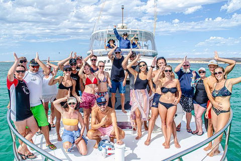 Full-Day Whale Sharks Swimming Experience On Ningaloo Reef - Getaway Accommodation 1