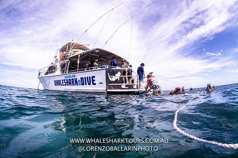 Full-Day Whale Sharks Swimming Experience On Ningaloo Reef - Getaway Accommodation 13