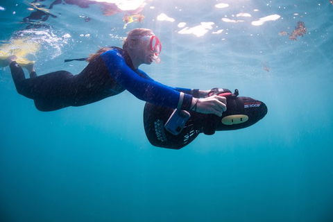 Full-Day Whale Sharks Swimming Experience On Ningaloo Reef - Getaway Accommodation 4