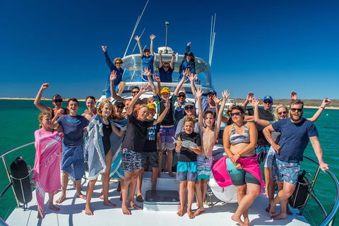 Full-Day Whale Sharks Swimming Experience On Ningaloo Reef - Getaway Accommodation 15