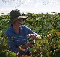 Kingsdale Wines - Getaway Accommodation