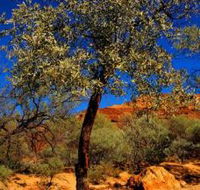 Mt Romance Australia Pty Ltd - Getaway Accommodation