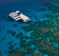 Great Adventures Reef and Green Island Cruises - Getaway Accommodation