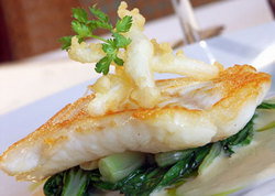 Glenelg South SA Getaway Accommodation