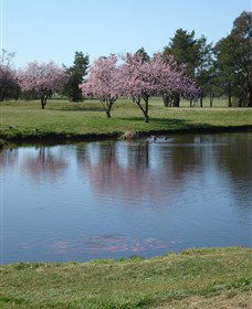 RMC Golf Club - Getaway Accommodation 0