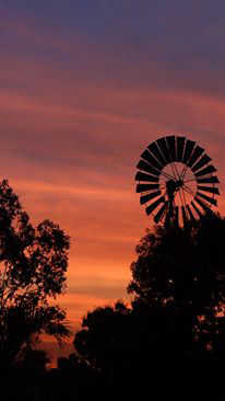 Emerald Springs Roadhouse - Getaway Accommodation 5