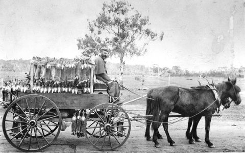 A Tale Of Two Villages - An Exhibition - Getaway Accommodation 1