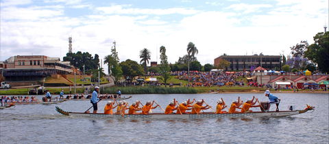 Jacaranda Dragon Boat Races - Getaway Accommodation 0