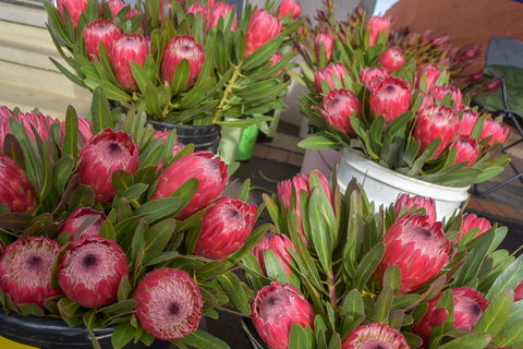 Junee Rotary Farmers Markets - Getaway Accommodation 0