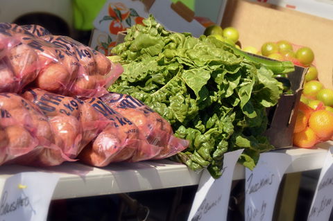 Junee Rotary Farmers Markets - Getaway Accommodation 2