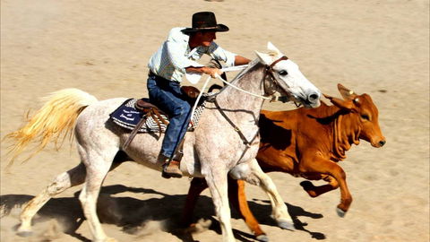 Bedourie Campdraft, Rodeo, Gymkhana - Getaway Accommodation 0